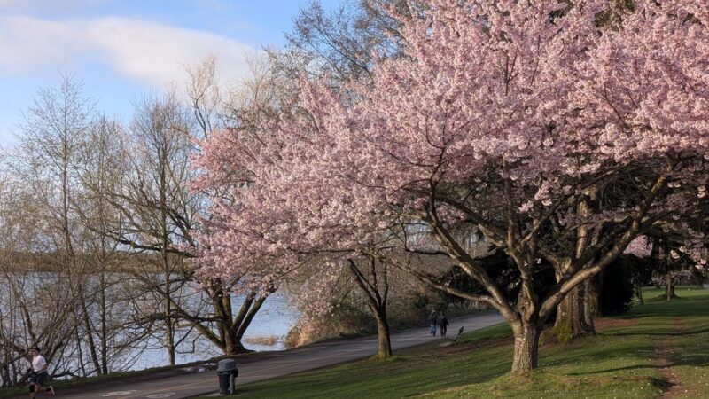 Green Lake Park - Seattle, WA