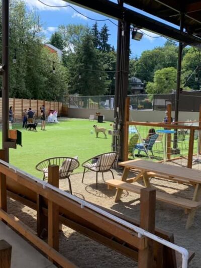 Growlerz Seattle - Seattle, WA