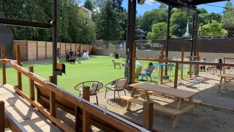 Growlerz Seattle - Seattle, WA