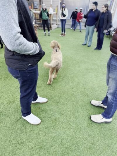 Growlerz Seattle - Seattle, WA