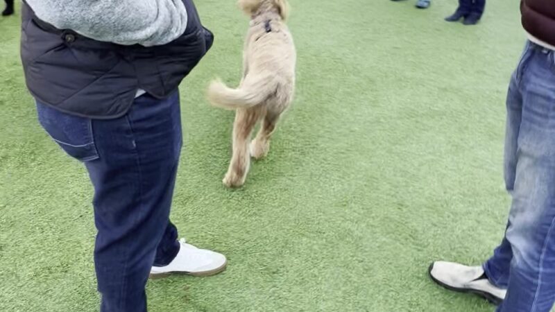 Growlerz Seattle - Seattle, WA