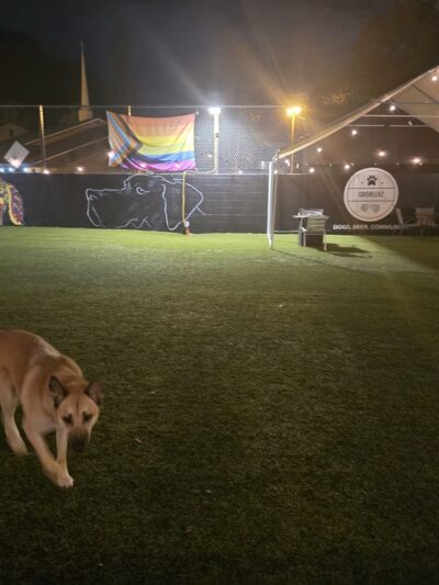 Growlerz Seattle - Seattle, WA