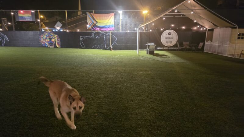 Growlerz Seattle - Seattle, WA