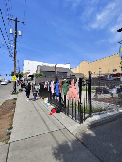 Hoa Mai Park - Seattle, WA