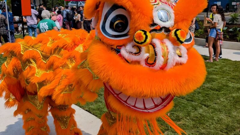 Hoa Mai Park - Seattle, WA