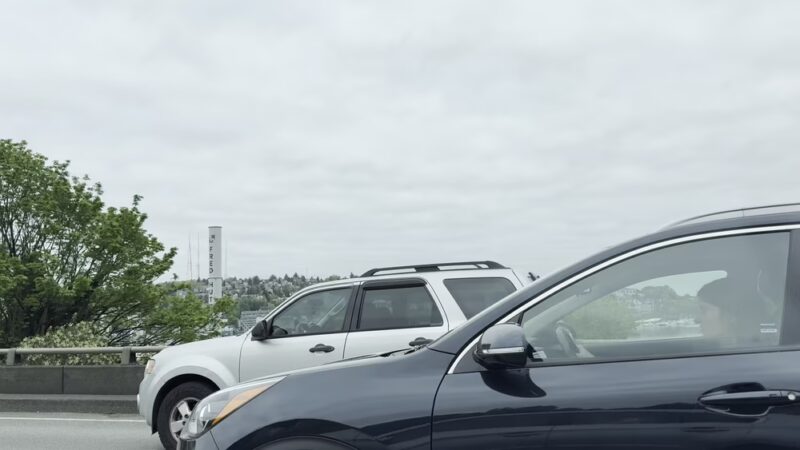 I-5 Colonnade Off-Leash Area - Seattle, WA
