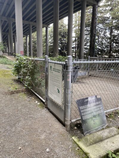 I-5 Colonnade Off-Leash Area - Seattle, WA