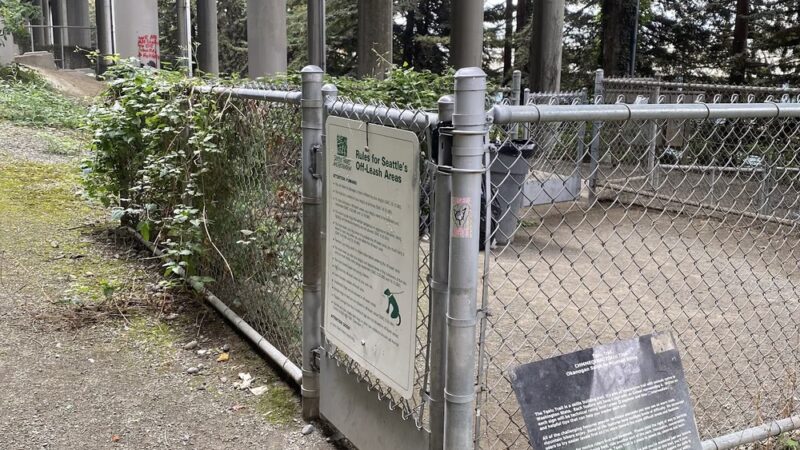 I-5 Colonnade Off-Leash Area - Seattle, WA