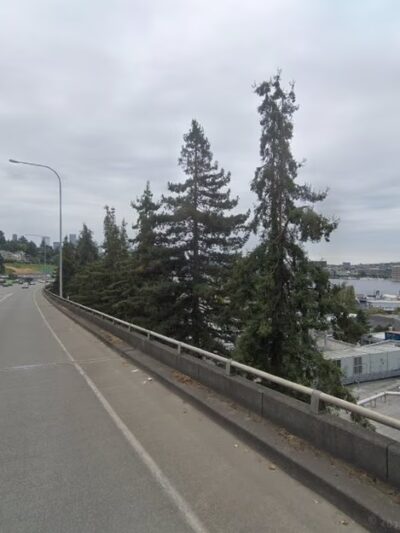 I-5 Colonnade Off-Leash Area - Seattle, WA