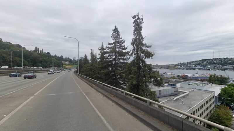 I-5 Colonnade Off-Leash Area - Seattle, WA
