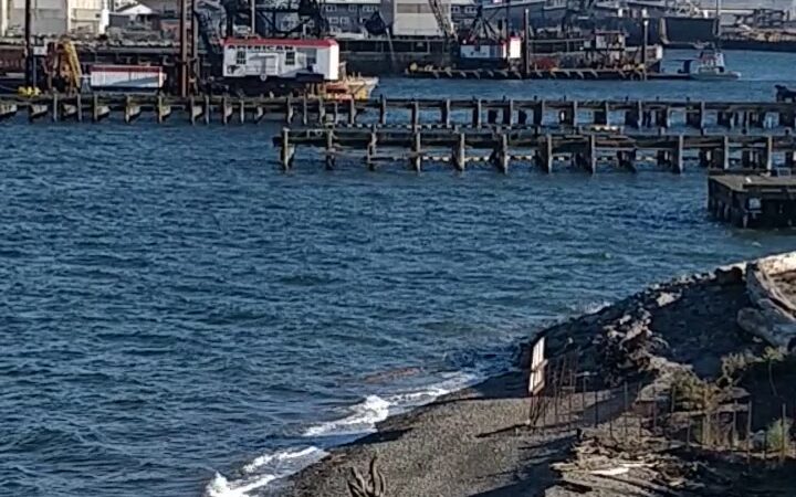 Jack Block Park - Seattle, WA