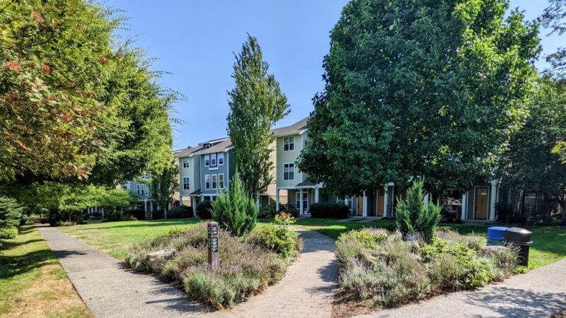 Judy Faye Park - Seattle, WA