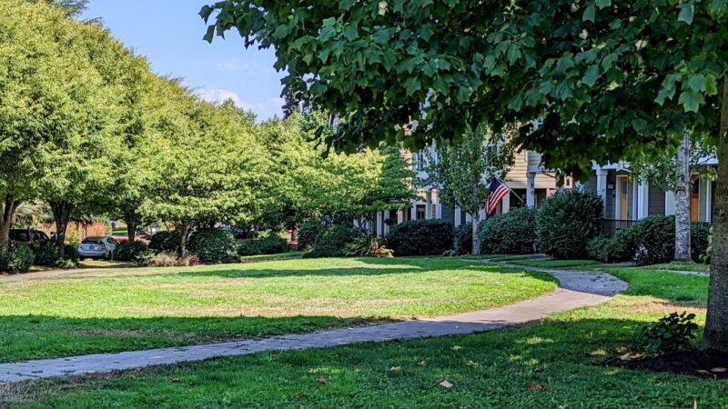 Judy Faye Park - Seattle, WA