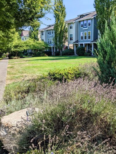 Judy Faye Park - Seattle, WA