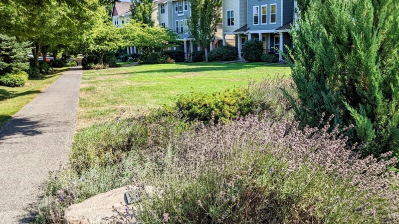 Judy Faye Park - Seattle, WA