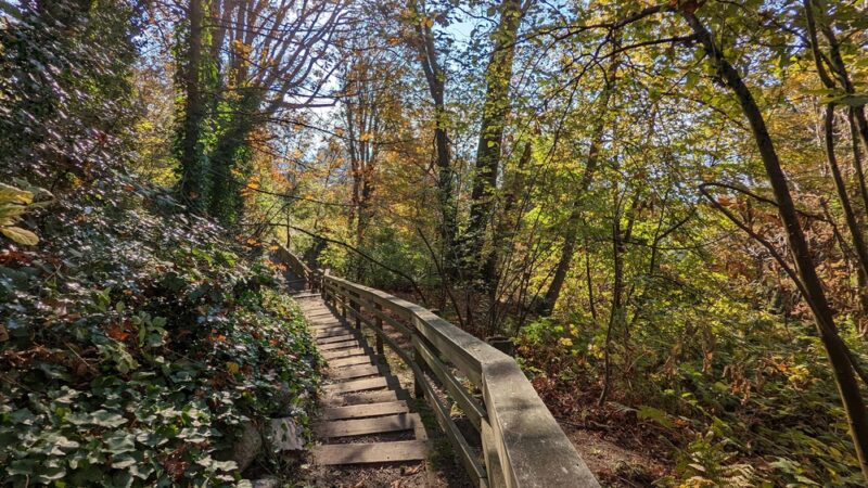 Kinnear Park - Seattle, WA