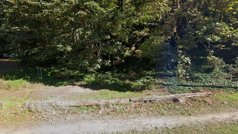 Kinnear Park Off-Leash Area - Seattle, WA