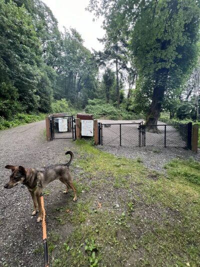 Kinnear Park Off-Leash Area - Seattle, WA