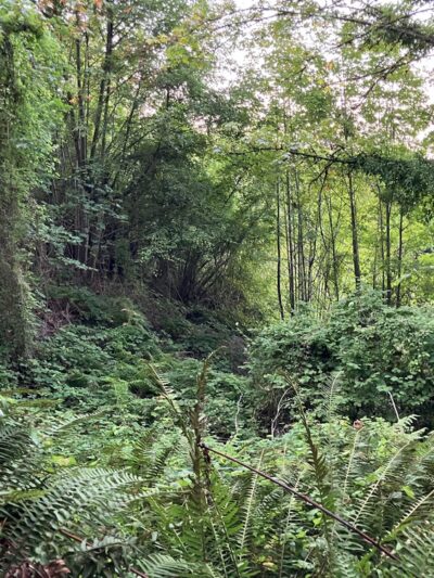 Lakeview Park - Seattle, WA