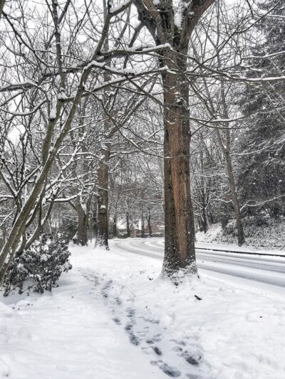 Lakeview Park - Seattle, WA