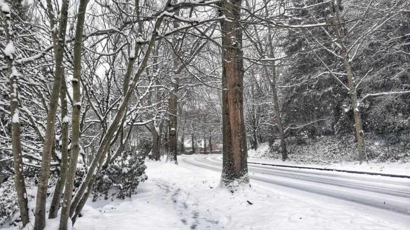 Lakeview Park - Seattle, WA