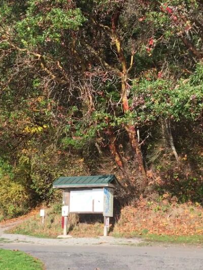 Lincoln Park - Seattle, WA