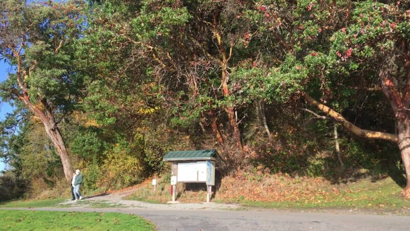 Lincoln Park - Seattle, WA