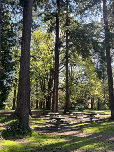 Lincoln Park - Seattle, WA