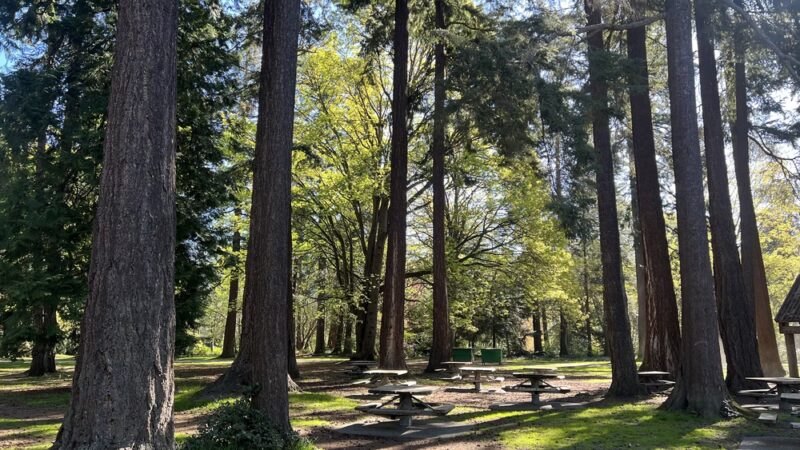 Lincoln Park - Seattle, WA