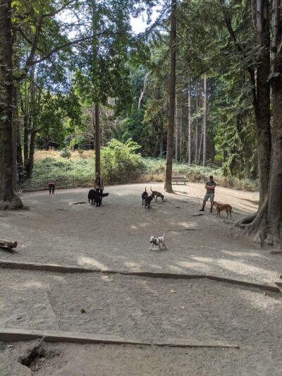 Lower Woodland Dog Park Off Leash Area - Seattle, WA