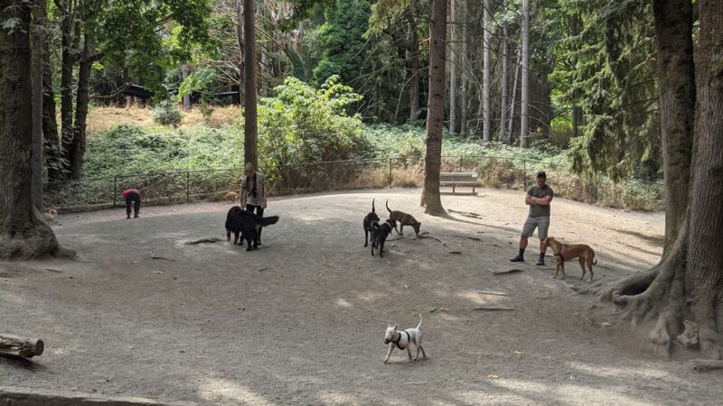 Lower Woodland Dog Park Off Leash Area - Seattle, WA