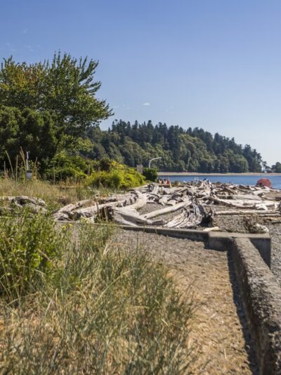 Lowman Beach Park - Seattle, WA