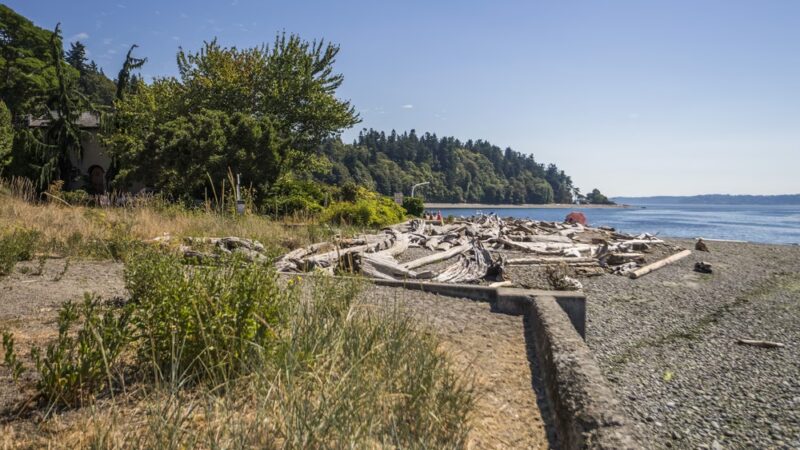 Lowman Beach Park - Seattle, WA