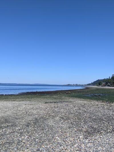 Lowman Beach Park - Seattle, WA