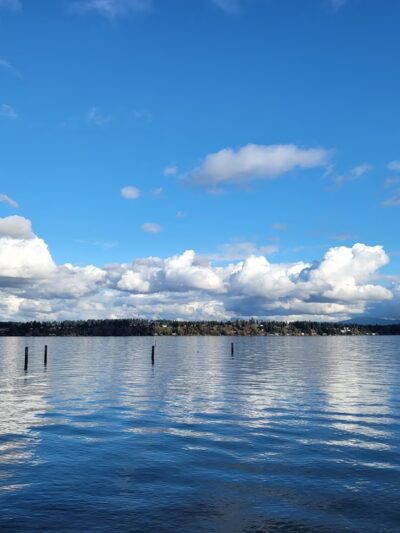 Madison Park - Seattle, WA