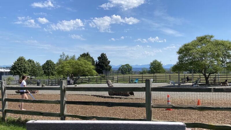 Magnolia Manor Park - Seattle, WA