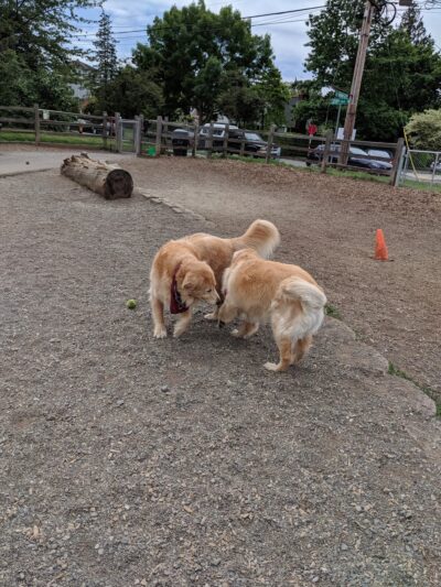 Magnolia Manor Park - Seattle, WA