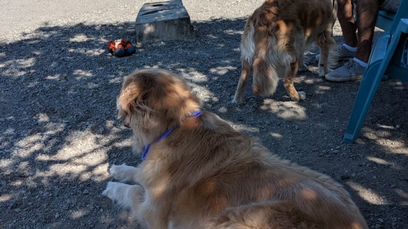 Magnolia Manor Park - Seattle, WA