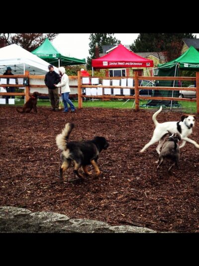 Magnolia Manor Park - Seattle, WA