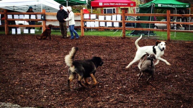 Magnolia Manor Park - Seattle, WA