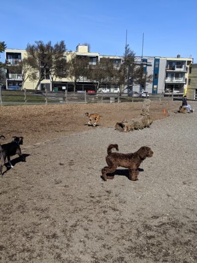 Magnolia Manor Park - Seattle, WA