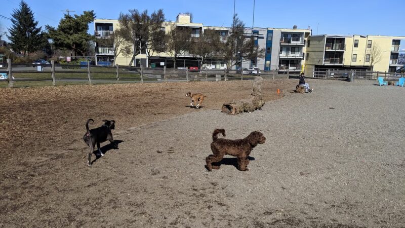 Magnolia Manor Park - Seattle, WA