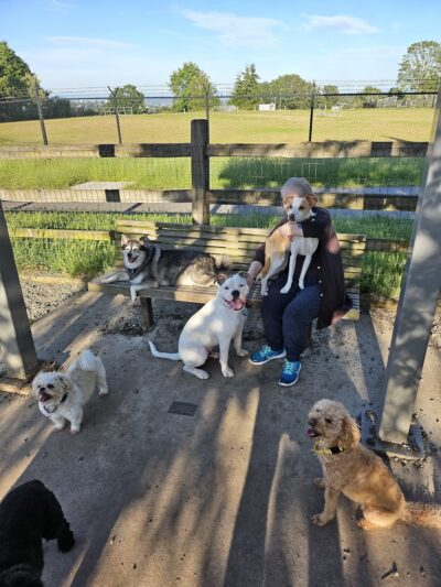 Magnolia Manor Park Off-Leash Area - Seattle, WA