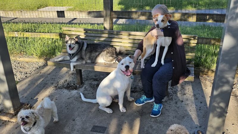 Magnolia Manor Park Off-Leash Area - Seattle, WA