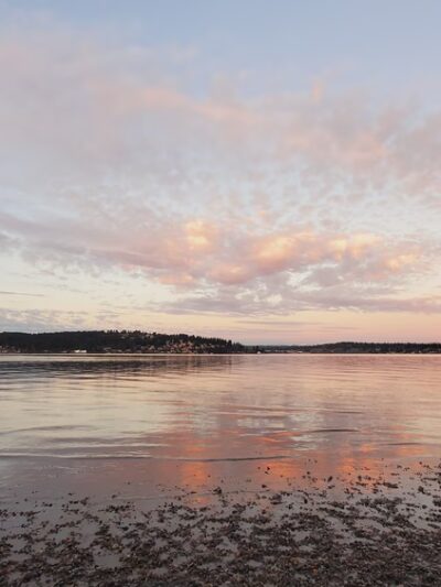 Magnuson Park Off Leash Dog Beach - Seattle, WA