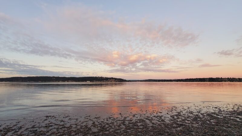 Magnuson Park Off Leash Dog Beach - Seattle, WA