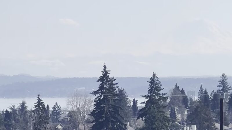 Maple Leaf Reservoir Park - Seattle, WA