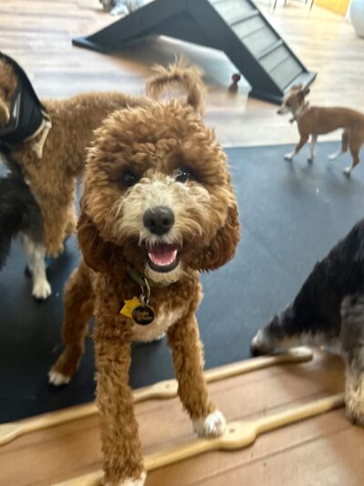 Martha's Garden - Seattle, WA