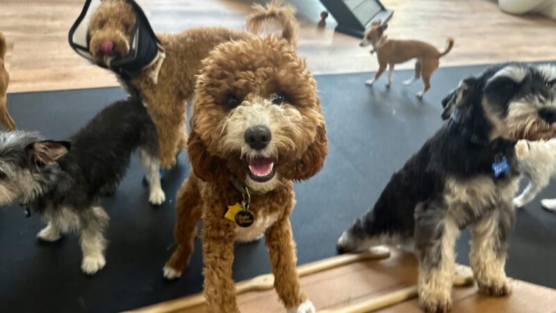 Martha's Garden - Seattle, WA