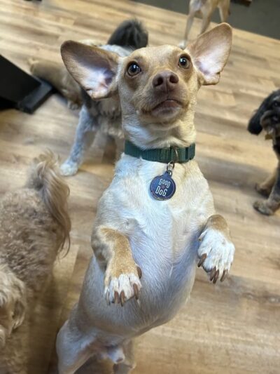 Martha's Garden - Seattle, WA